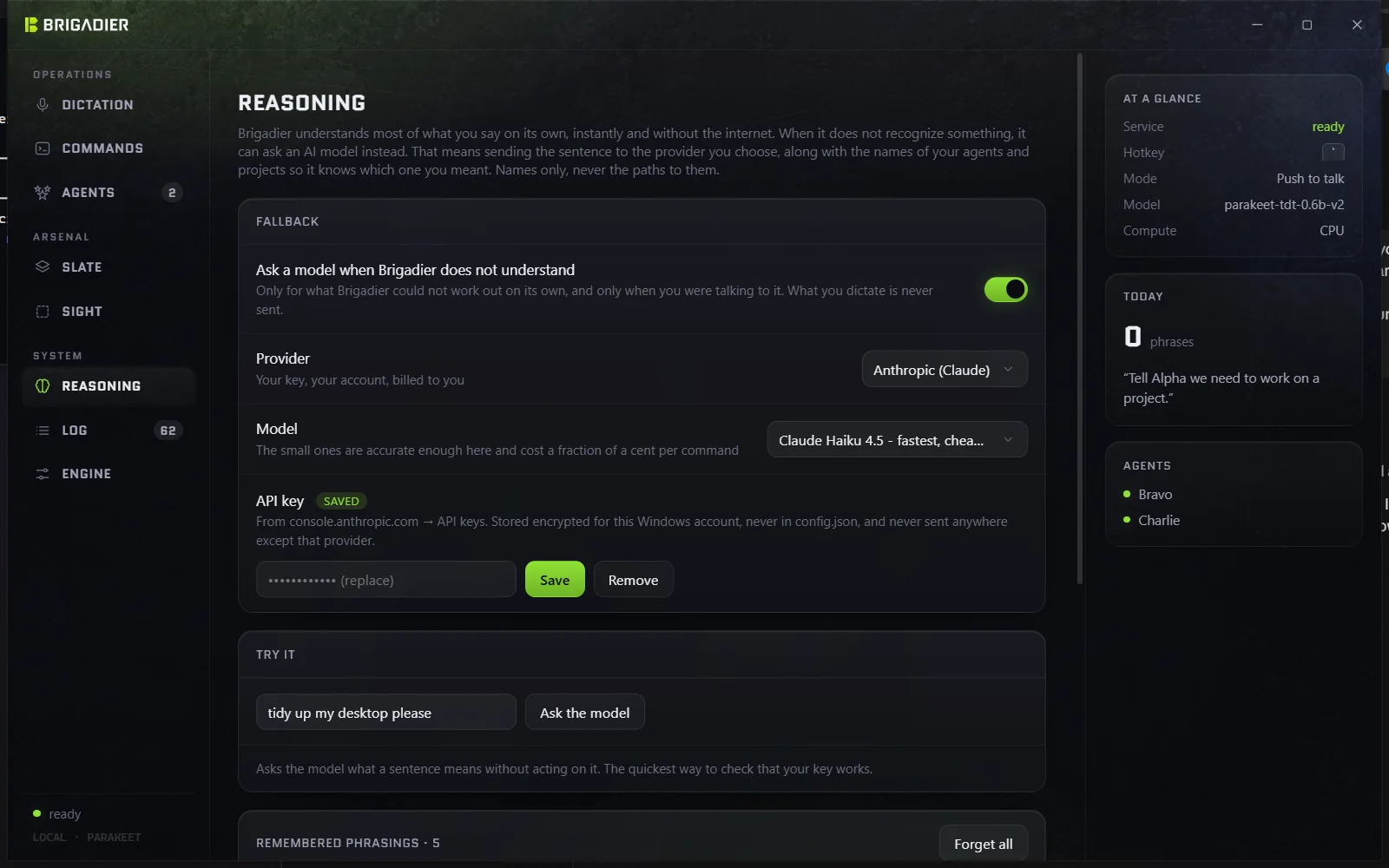 The Reasoning page: the model fallback, off by default, with the provider, model and remembered phrasings.